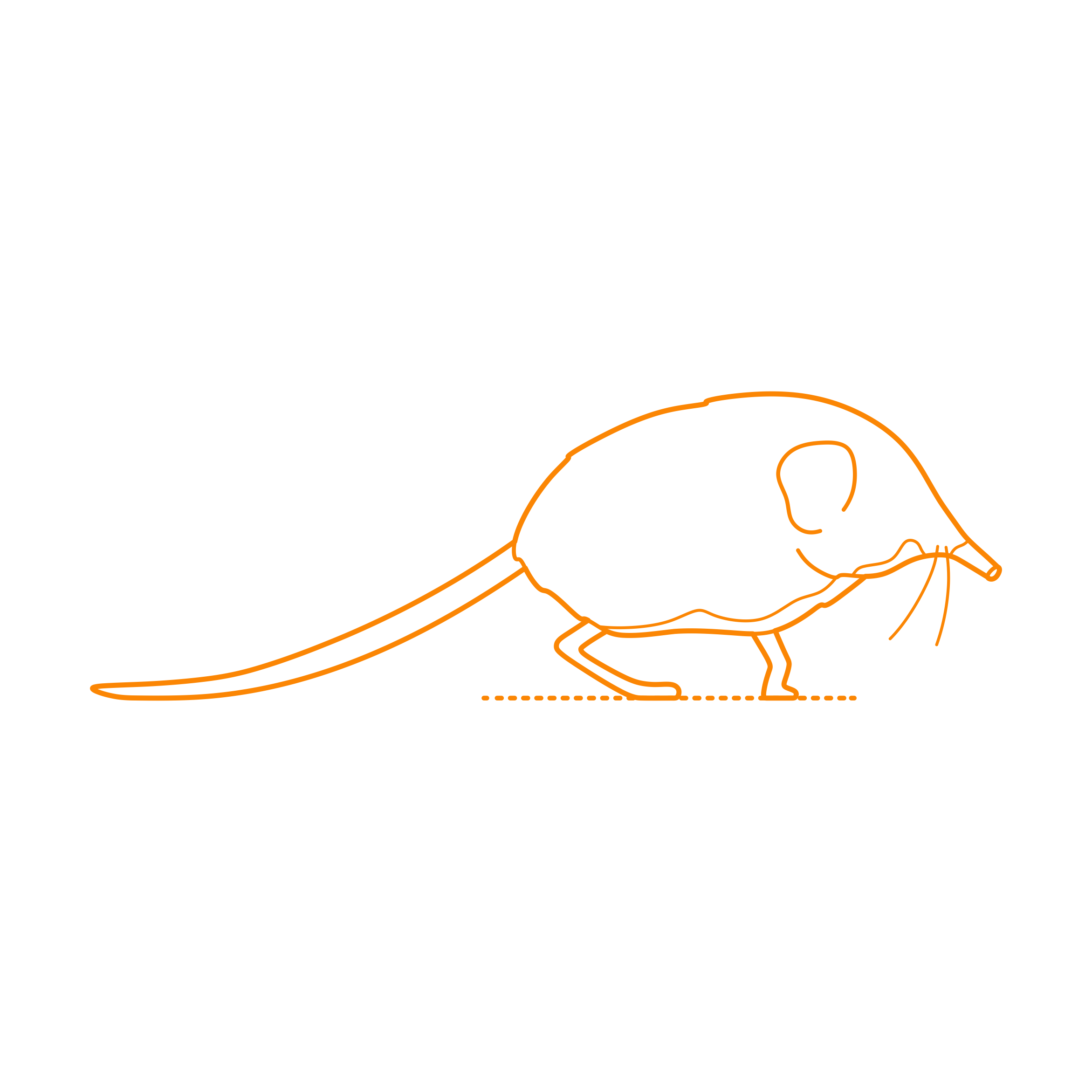 Animals African Insectivores Etendeka Round Eared Sengi Digital Sketch Svg Design Free Vectors